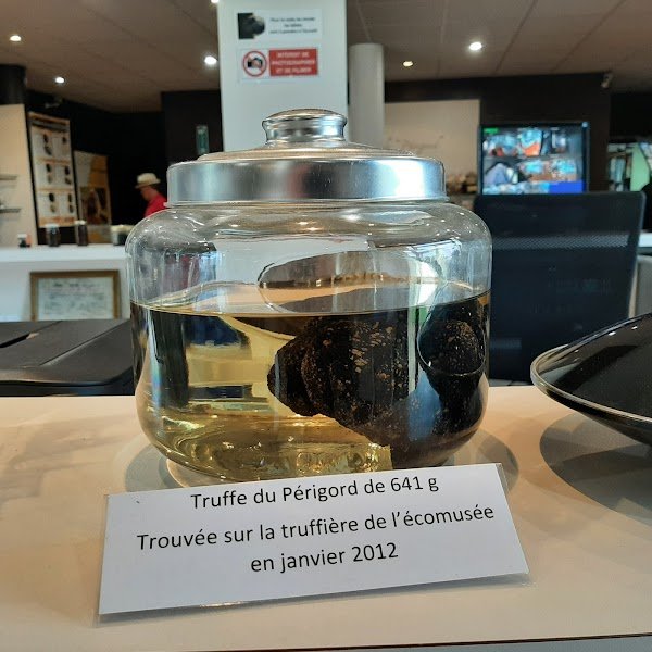 Écomusée de la Truffe - Photo 5 - Passeport Gourmand