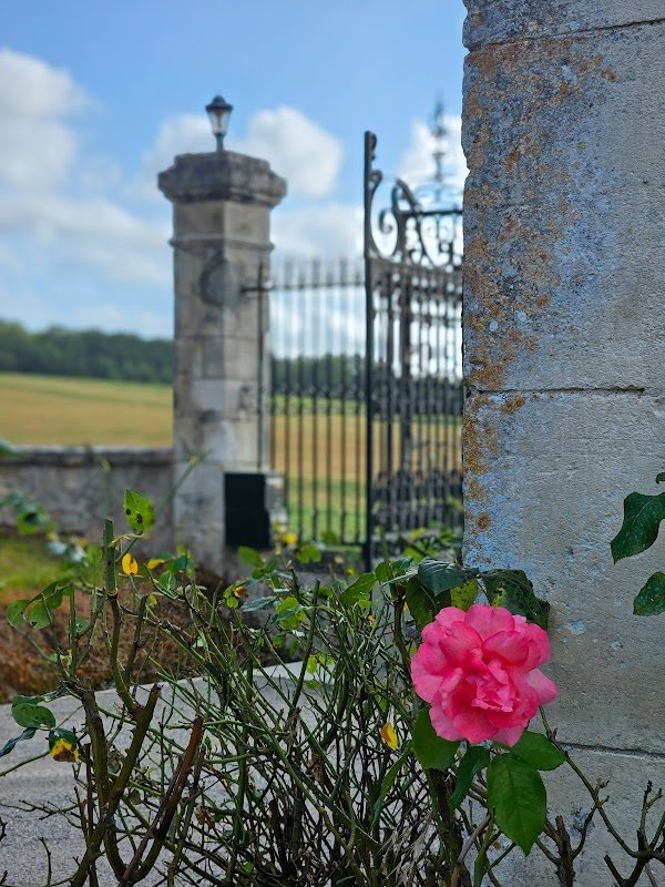 Château de la Côte - Photo 4 - Passeport Gourmand