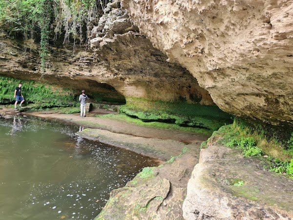 Château Royal de Cazeneuve - Photo 7 - Passeport Gourmand