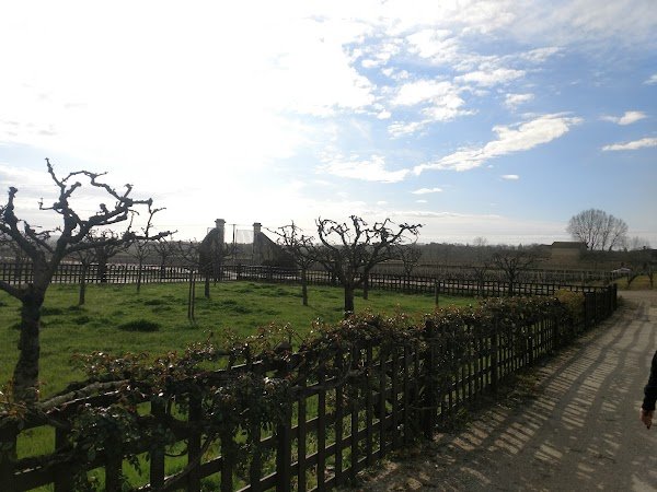 Château Carbonnieux - Photo 10 - Passeport Gourmand